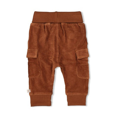 Feetje W25  W2522 Broek velours rib - Wild World Bruin 52202424