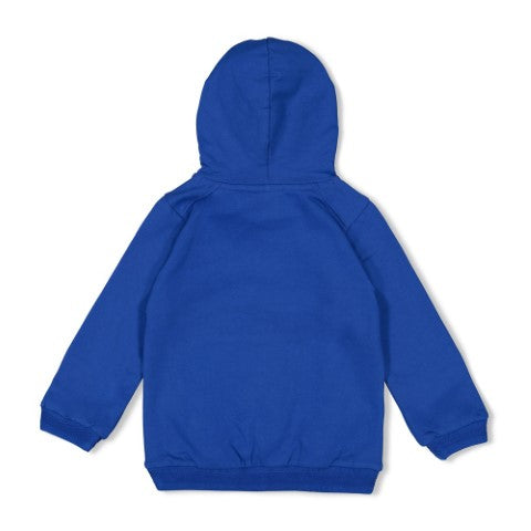 Sturdy w25 Hoody - Chasing Trails Blauw 71600628 W25S2