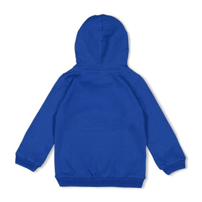 Sturdy w25 Hoody - Chasing Trails Blauw 71600628 W25S2