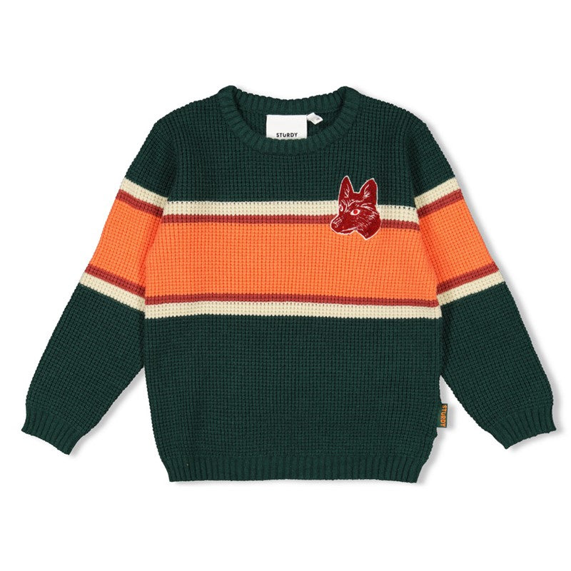 Sturdy w25 Knit - Chasing Trails 71600634 W25S2
