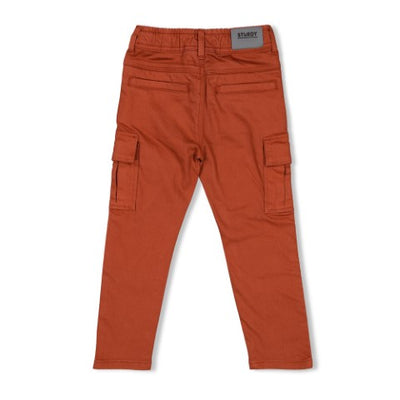 Sturdy w25 Cargo broek - Chasing Trails Roest 72200242 W25S2