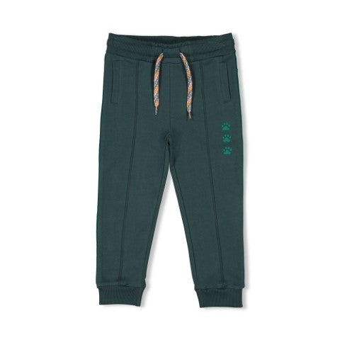 Sturdy w25 Broek - Chasing Trails Petrol 72200243 W25S2
