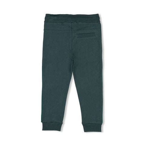 Sturdy w25 Broek - Chasing Trails Petrol 72200243 W25S2