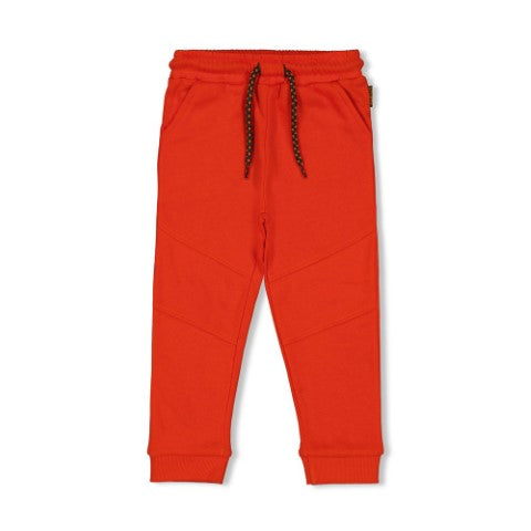 Sturdy w25 Broek - Chasing Trails Oranje 72200244 W25S2