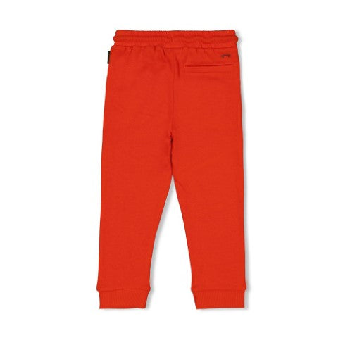 Sturdy w25 Broek - Chasing Trails Oranje 72200244 W25S2