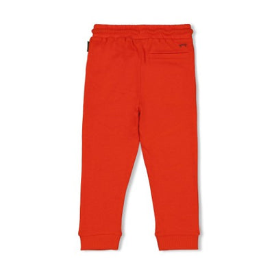 Sturdy w25 Broek - Chasing Trails Oranje 72200244 W25S2