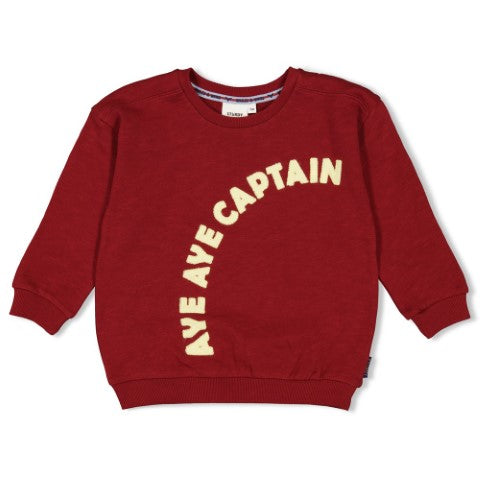 Sturdy w25 Sweater - Waves and Whales Bordeaux 71600647 W25S3
