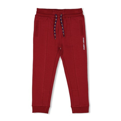 Sturdy w25 Broek - Waves and Whales Bordeaux 72200247 W25S3