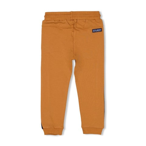Sturdy w25 Broek - Waves and Whales Hazelnoot 72200248 W25S3