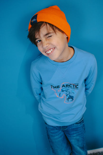 TYGO&vito w25 Sweater Sem Parisian blue X509-6310 138