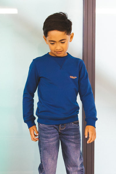 TYGO&vito w25 Sweater Silver Estate blue X509-6311 180