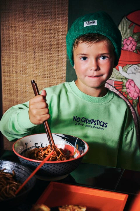 Z8 Kids W25 Boys Sweaters Brex Spring leaf