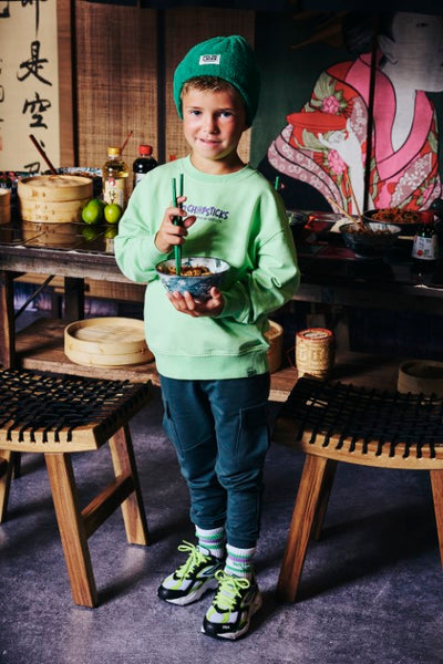 Z8 Kids W25 Boys Sweaters Brex Spring leaf