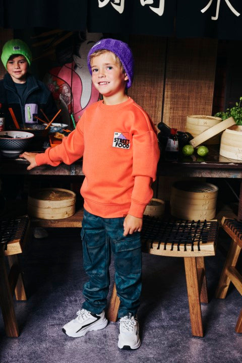 Z8 Kids W25 Boys Sweaters Tyce Tropical coral