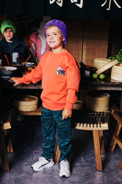 Z8 Kids W25 Boys Sweaters Tyce Tropical coral