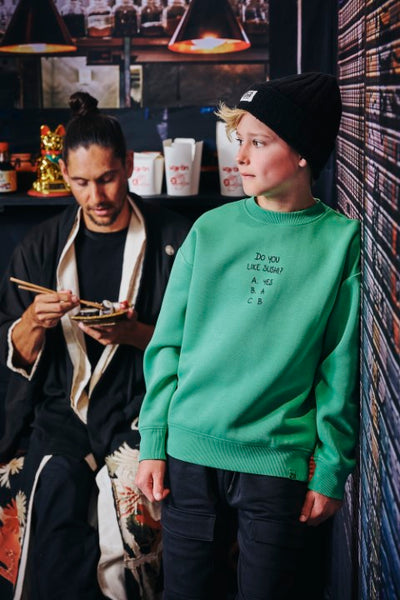 Z8 Kids W25 Boys Sweaters Misja Buzzing frog