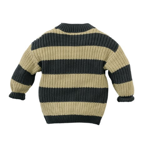 Z8 Mini W24 Jongens sweater Giel Chia seed