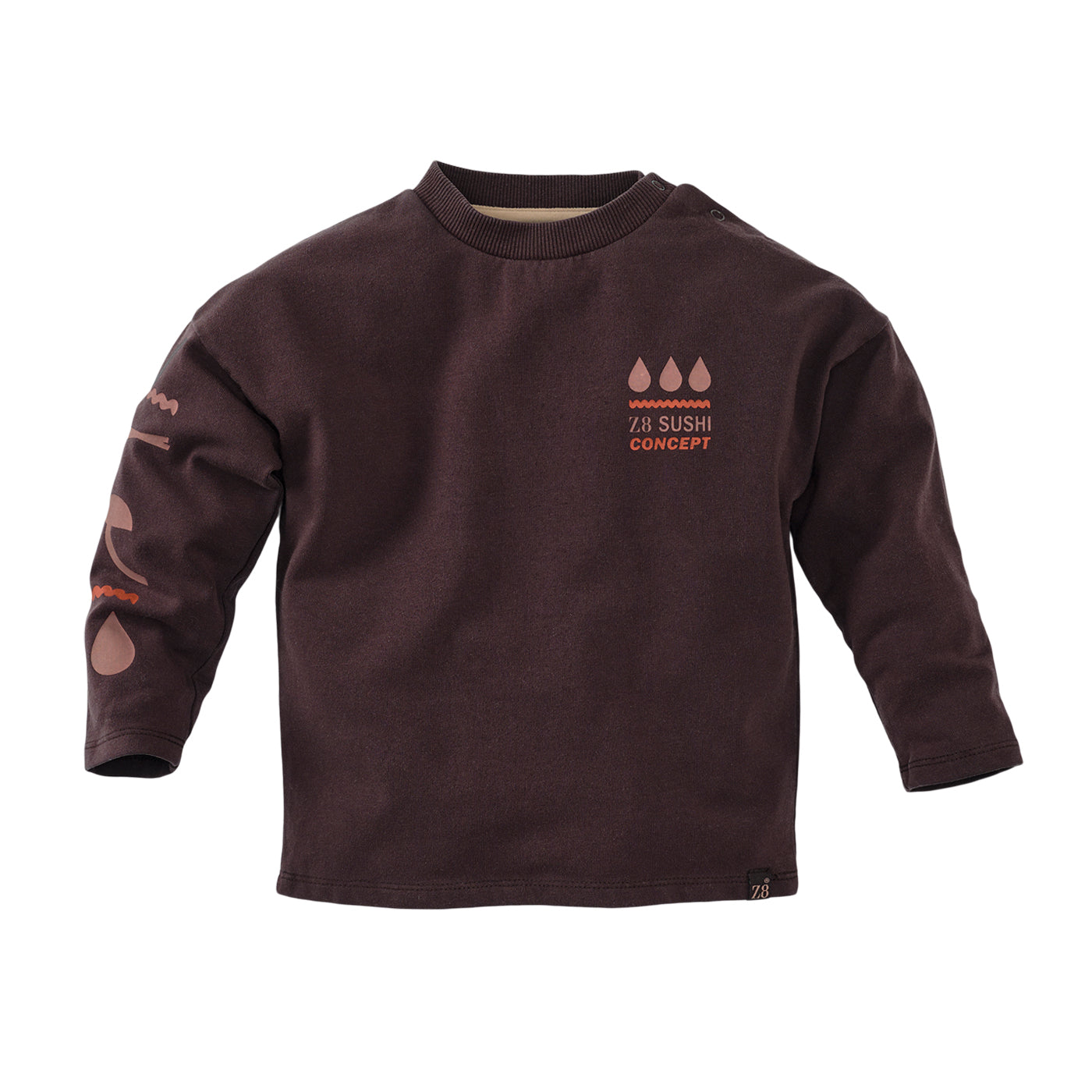 Z8 Mini W25 Boys Sweaters Raoul Brownstone