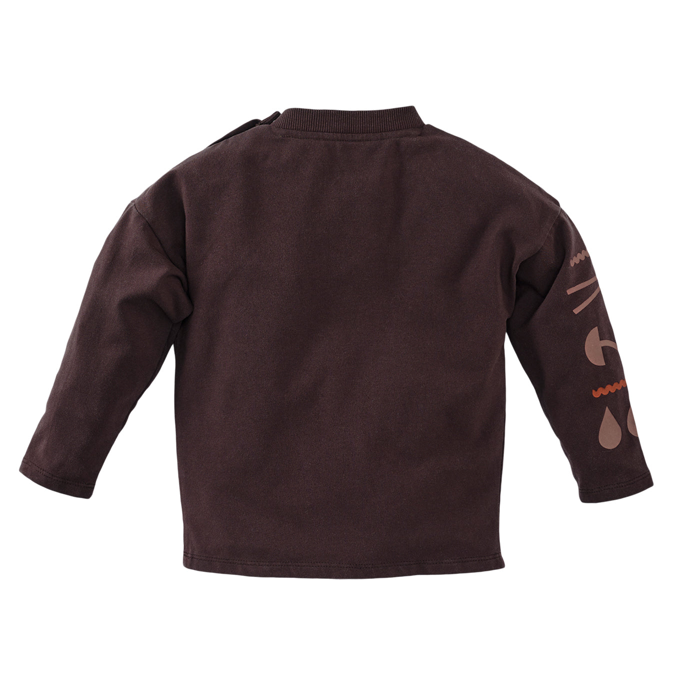 Z8 Mini W25 Boys Sweaters Raoul Brownstone