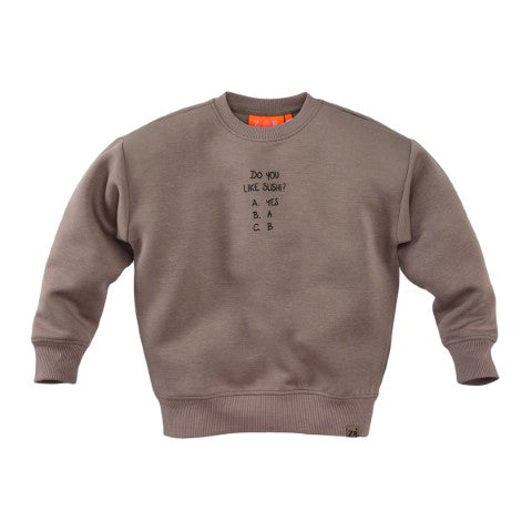 Z8 Kids W25 Boys Sweaters Misja Twilight taupe
