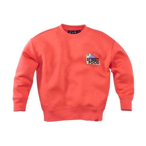 Z8 Kids W25 Boys Sweaters Tyce Tropical coral