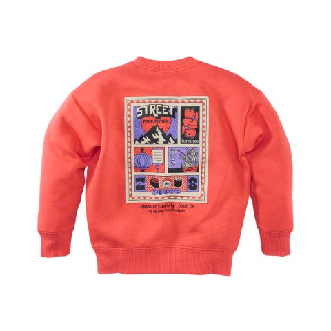 Z8 Kids W25 Boys Sweaters Tyce Tropical coral