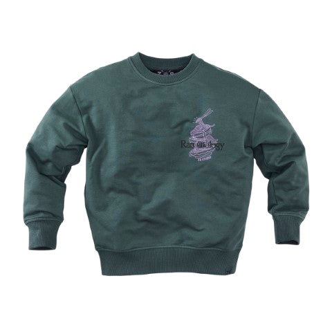 Z8 Kids W25 Boys Sweaters Bowie Seafoam shadow