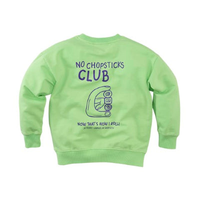 Z8 Kids W25 Boys Sweaters Brex Spring leaf