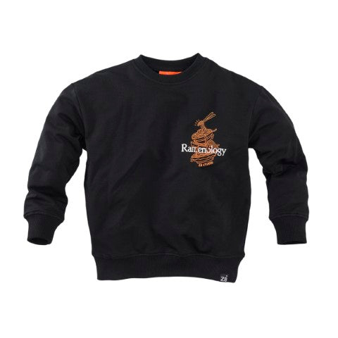 Z8 Kids W25 Boys Sweaters Bowie Night sky