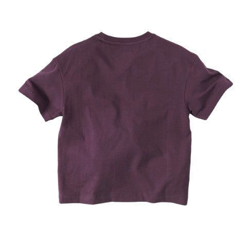 Z8 Kids W24  Boys Short sleeves Baz Blueberry muffin