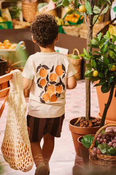 Z8 Summer 25 limited eind 4 Boys Short sleeves Renardo Panna cotta