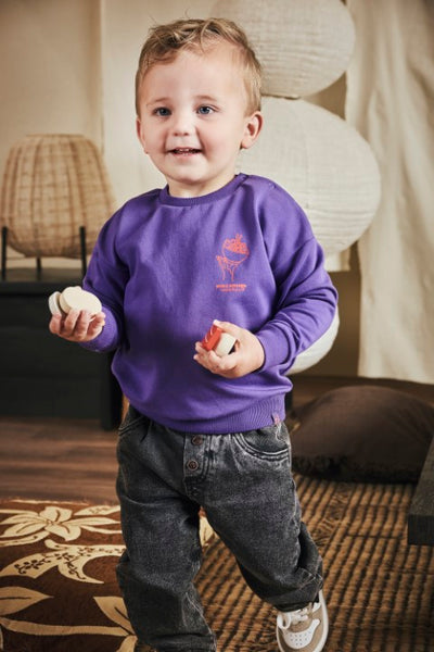 Z8 Mini W25 Boys Sweaters Teijn Purpureus