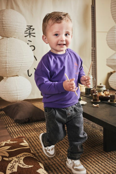 Z8 Mini W25 Boys Sweaters Teijn Purpureus