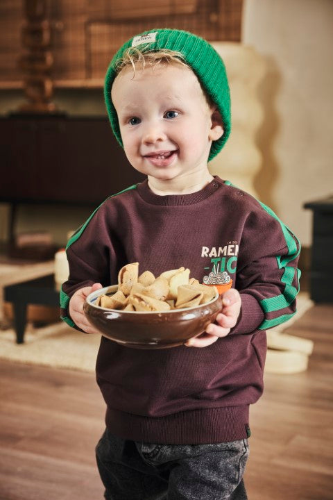 Z8 Mini W25 Boys Sweaters Sieb Crushed cloves