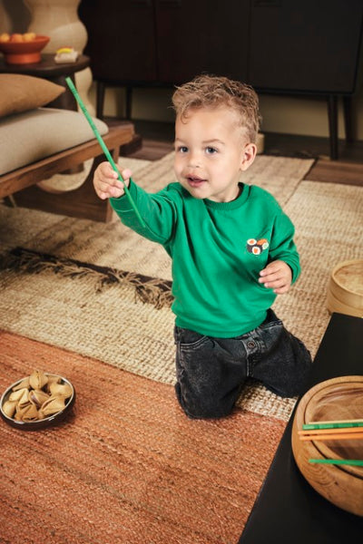 Z8 Mini W25 Boys Sweaters Tijl Jelly bean