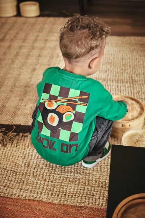 Z8 Mini W25 Boys Sweaters Tijl Jelly bean