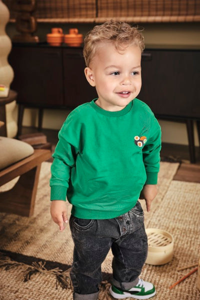 Z8 Mini W25 Boys Sweaters Tijl Jelly bean