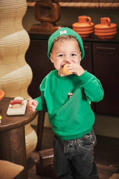 Z8 Mini W25 Boys Sweaters Tijl Jelly bean