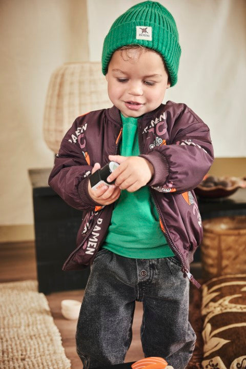 Z8 Mini W25 Boys Sweaters Tijl Jelly bean