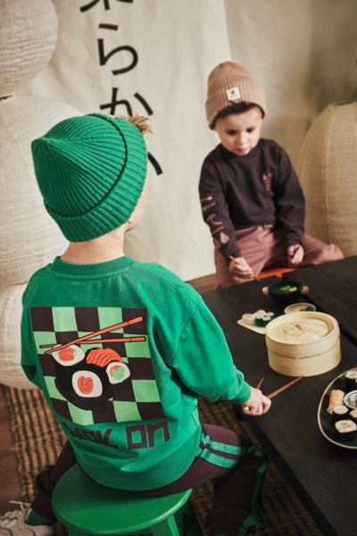 Z8 Mini W25 Boys Sweaters Tijl Jelly bean