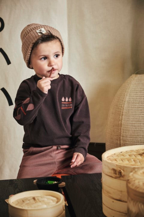Z8 Mini W25 Boys Sweaters Raoul Brownstone
