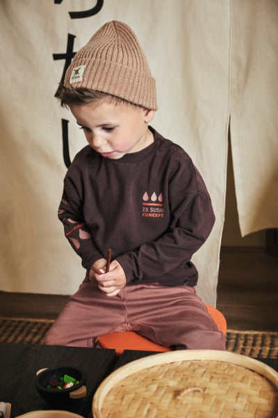 Z8 Mini W25 Boys Sweaters Raoul Brownstone