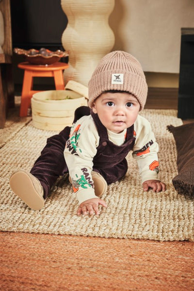 Z8 Mini W25 Boys Sweaters Ralf Vanilla cream/AOP
