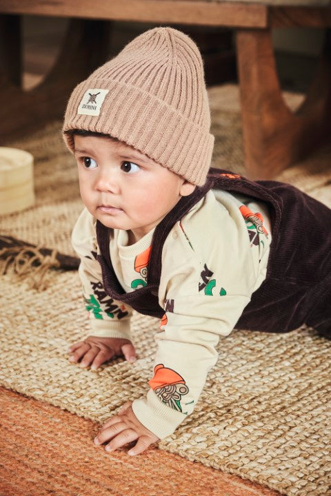 Z8 Mini W25 Boys Sweaters Ralf Vanilla cream/AOP