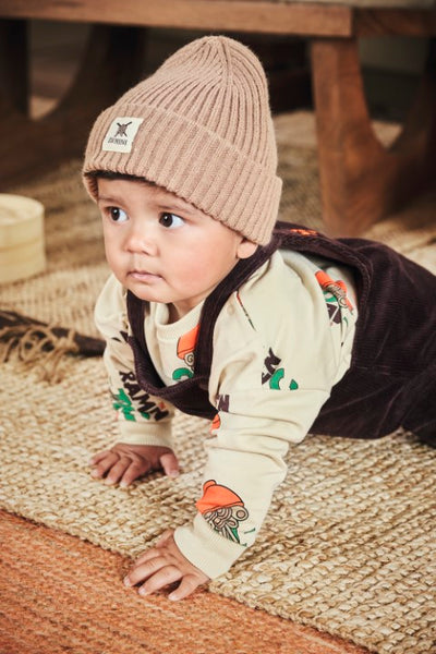 Z8 Mini W25 Boys Sweaters Ralf Vanilla cream/AOP