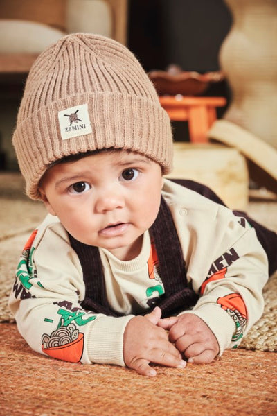 Z8 Mini W25 Boys Sweaters Ralf Vanilla cream/AOP