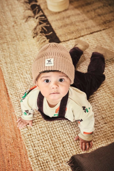 Z8 Mini W25 Boys Sweaters Ralf Vanilla cream/AOP