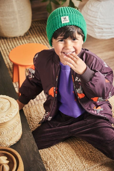 Z8 Mini W25 Boys Sweaters Teijn Purpureus