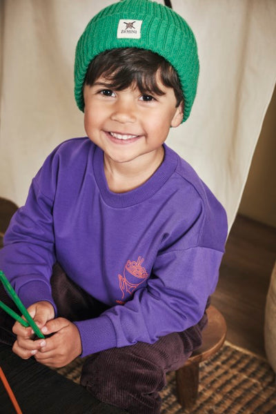 Z8 Mini W25 Boys Sweaters Teijn Purpureus