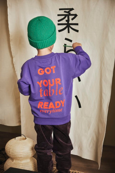 Z8 Mini W25 Boys Sweaters Teijn Purpureus